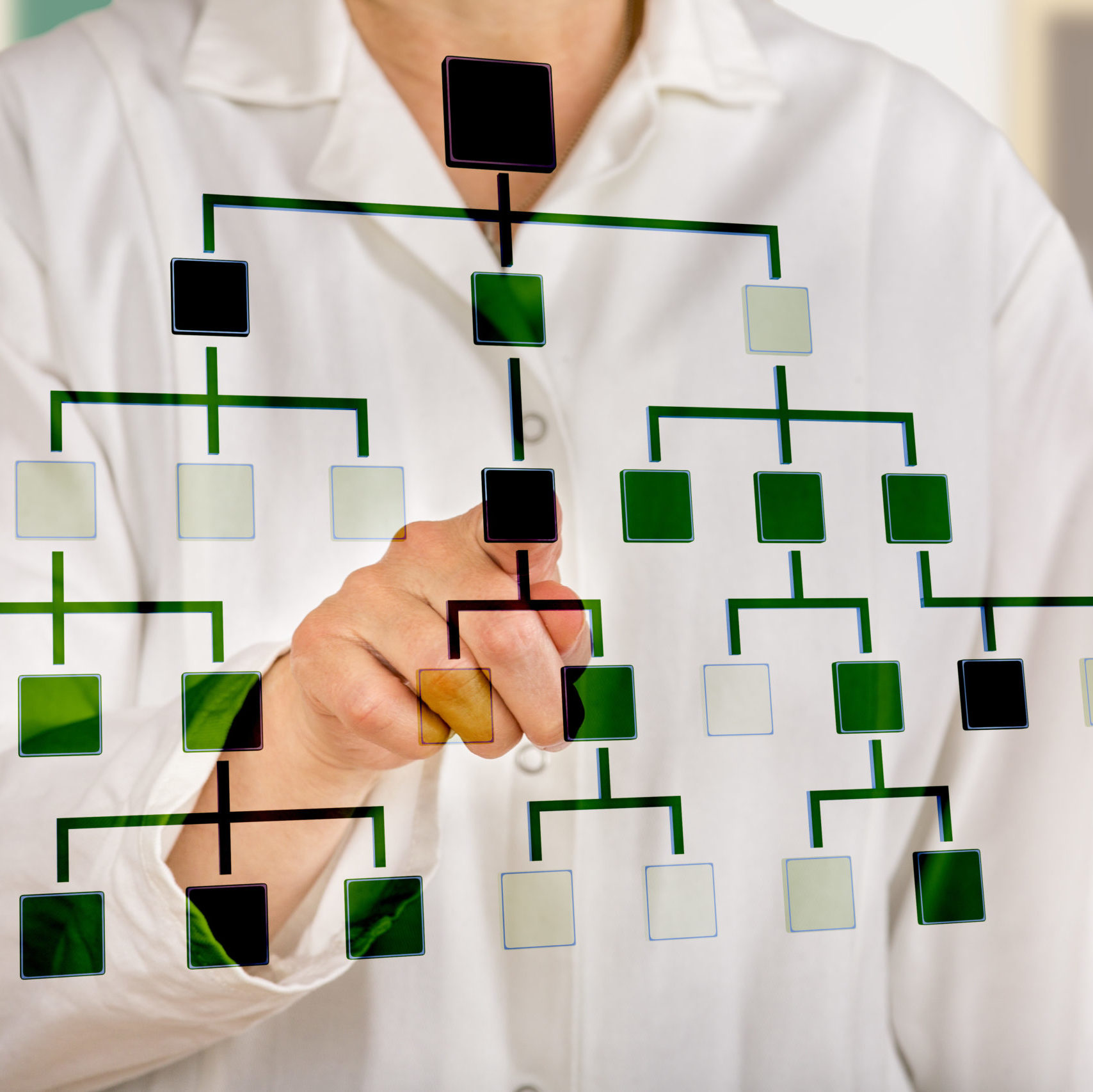 親族関係図イメージ